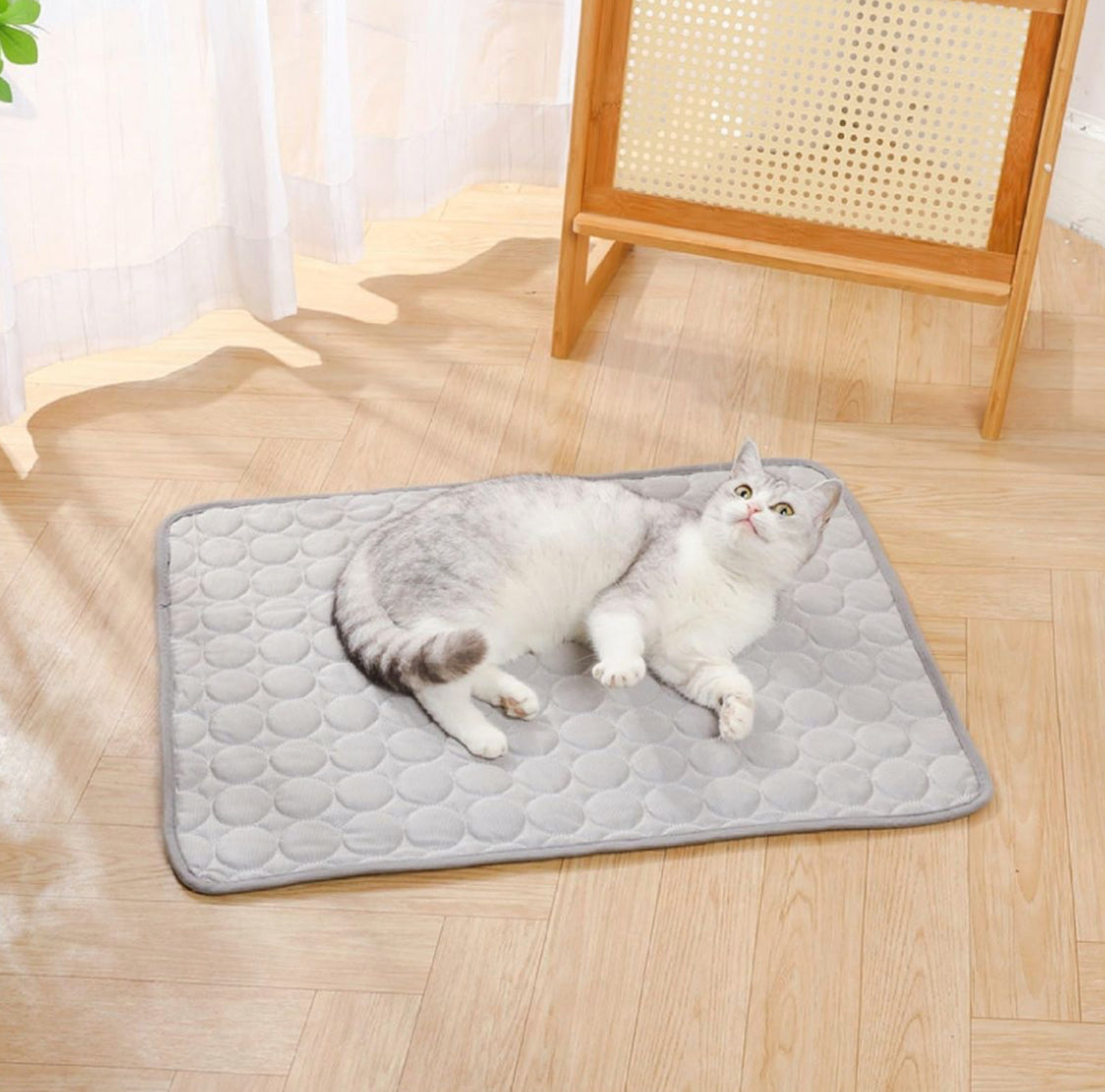 Tapis rafraîchissant