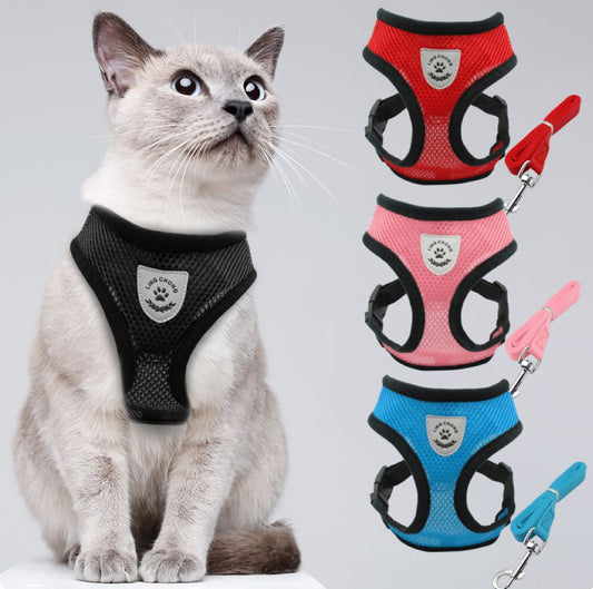 Harnais Chiens & Chats